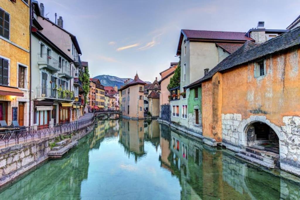 Appartement La Perle Carnot - Vieille